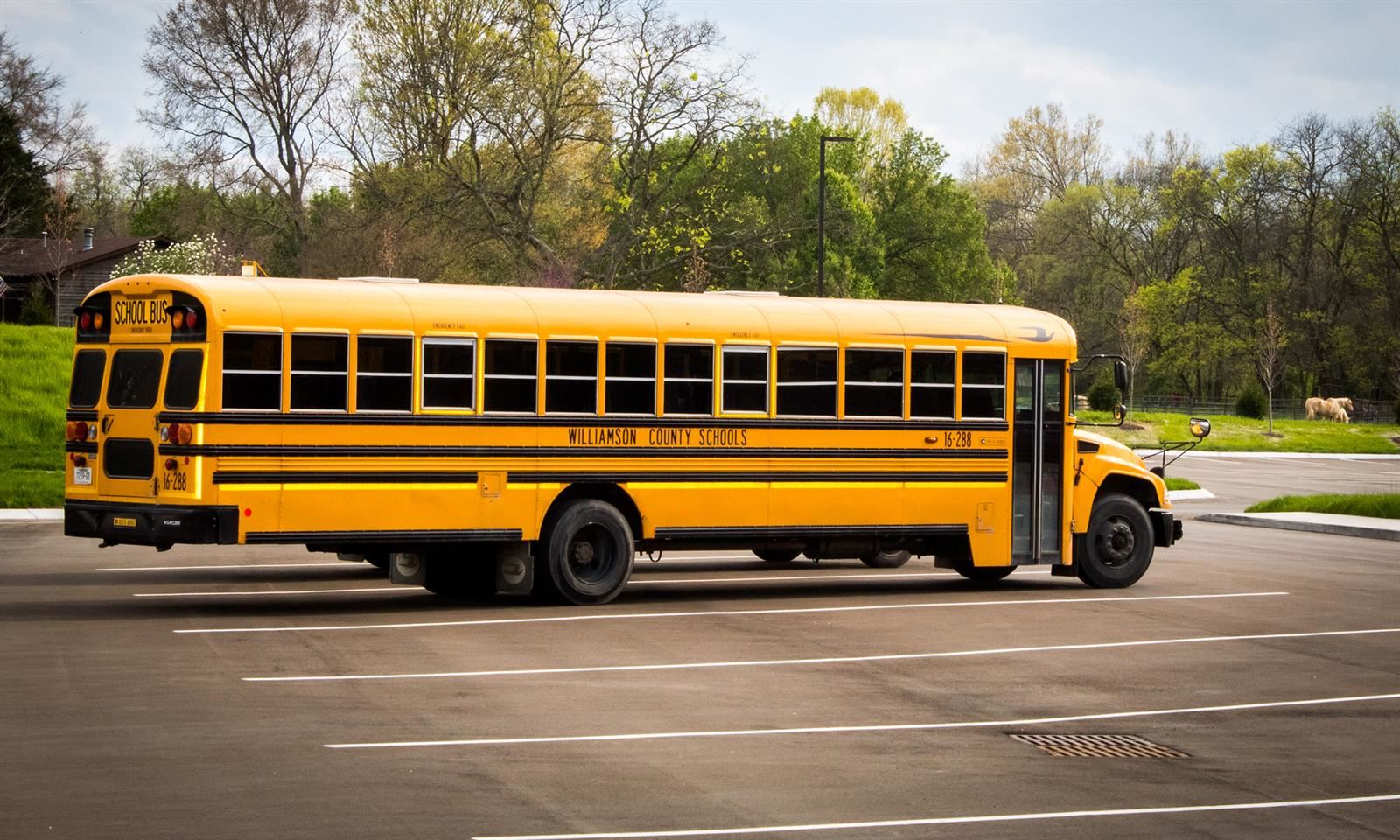 School bus in parking lot